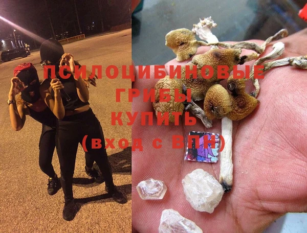 наркотики Волосово